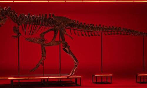 Fuera de este mundo: un Urwerk con fragmentos de T. rex