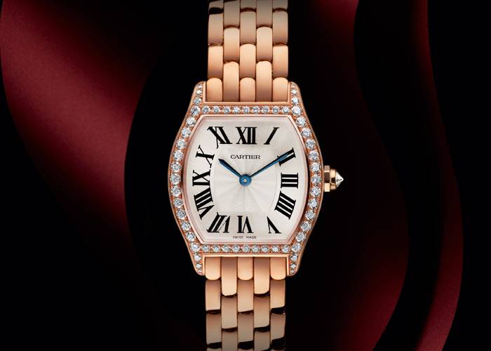 TORTUE DE CARTIER