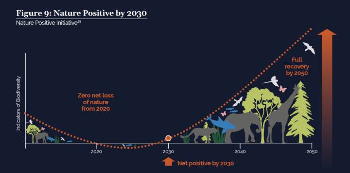 Camino para convertirnos en una naturaleza positiva para el medio ambiente en 2030 y luego regenerarla en 2050