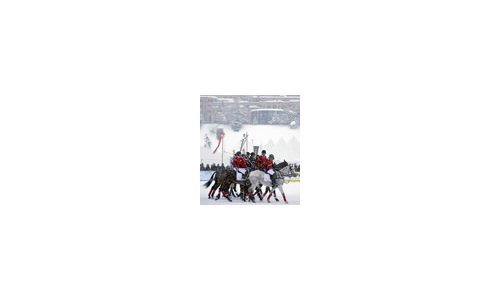 Cartier gana la 30ª edición de la St Moritz Polo World Cup sobre Nieve