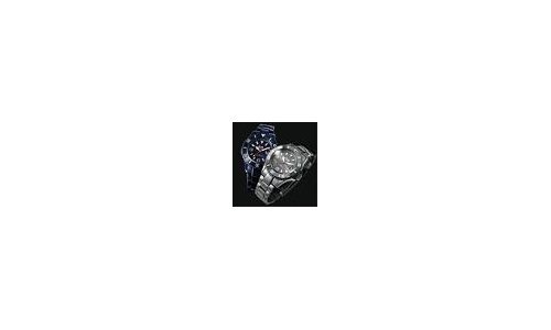 El surgimiento y auge de Ice-Watch