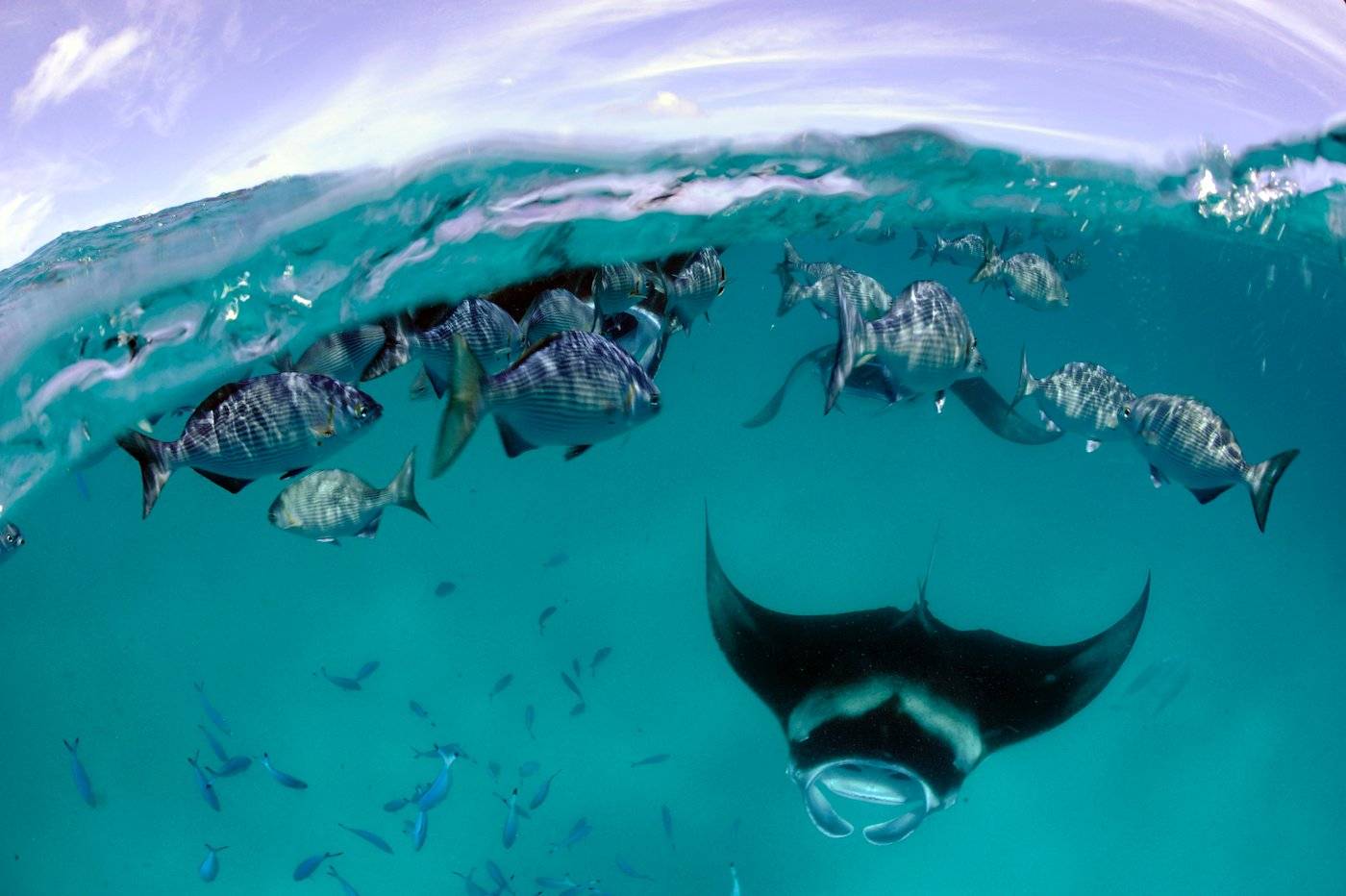Carl F. Bucherer: presentando el Patravi ScubaTec Maldives