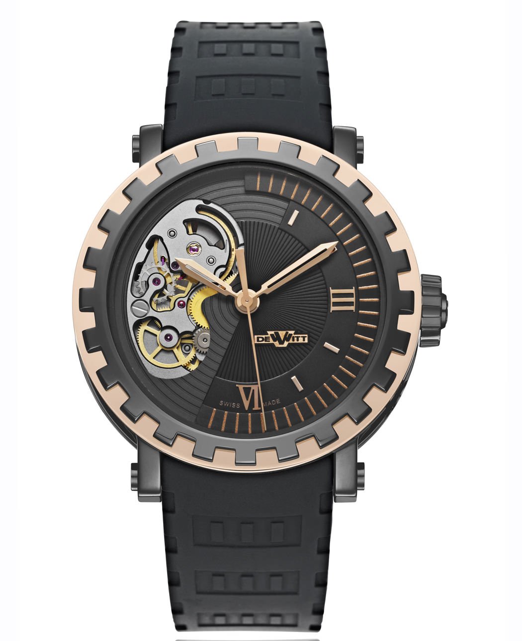 DeWitt ACADEMIA MIRABILIS