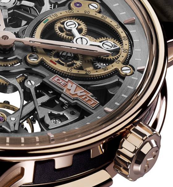 Revisitando el DeWitt Academia Skeleton