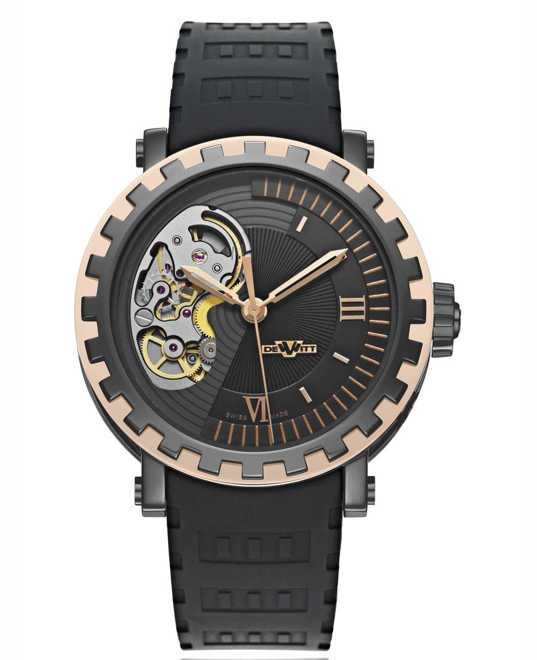 DeWitt ACADEMIA MIRABILIS