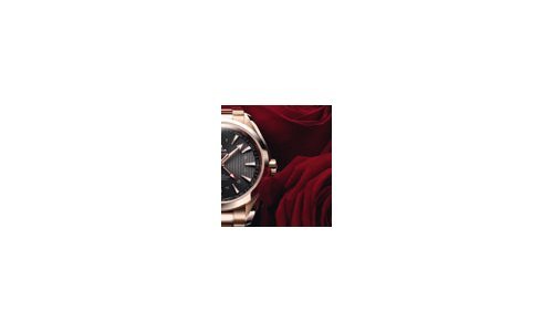 Selección del día de San Valentín - Omega Seamaster Aqua Terra GMT