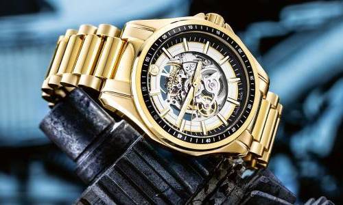Roamer Rockshell Skeleton: Atrévete a ser audaz