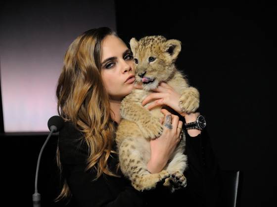 Martes DÍA DE LAS SEÑORAS: De Reinas y Supermodelos