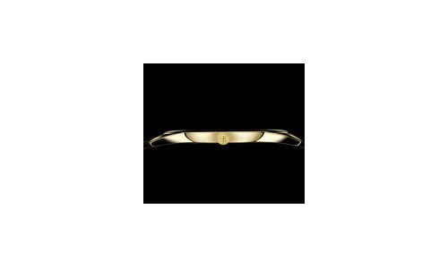 Especial SIHH & GenevaVacheron Constantin