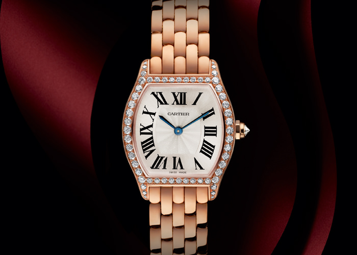 TORTUE DE CARTIER